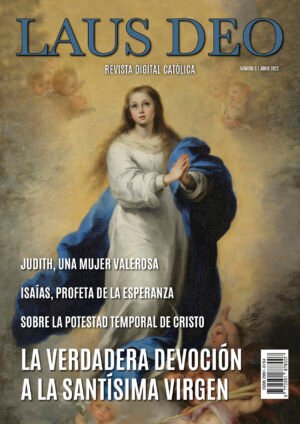 Nº 6 | Junio 2023