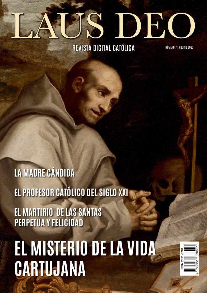 Nº 7 | Agosto 2023